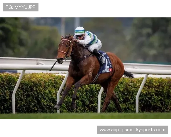 克罗地亚骑手吉塔·日特科维奇在2024年国际马术联合会世界障碍赛中以“Rain in Otago”马匹获得第九名，表现出色。